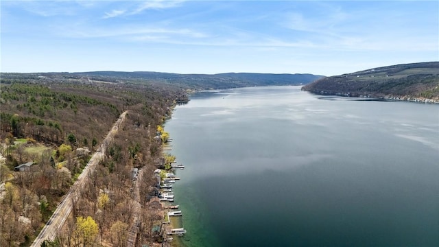 11519 E Lake Rd, Wayne, NY 14840 - drone / aerial view featuring a water and mountain view and a wooded view