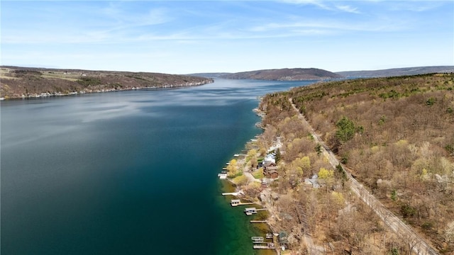 11519 E Lake Rd, Wayne, NY 14840 - view of water feature featuring a mountain view