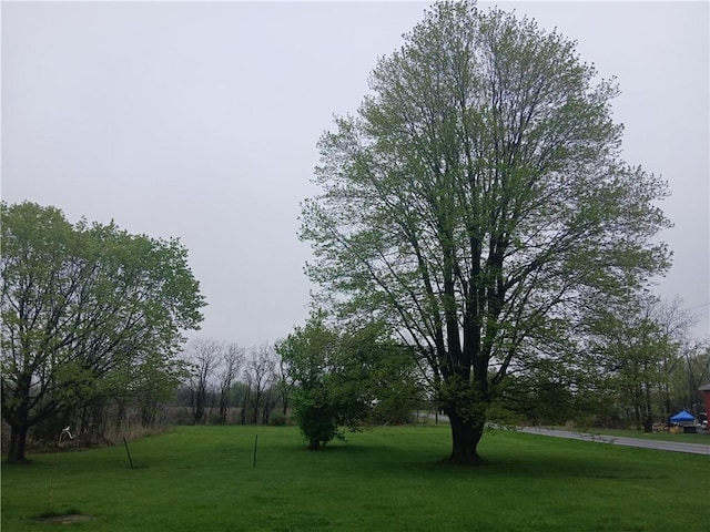 5321 Rt-96, Varick, NY 14521 - photo 3