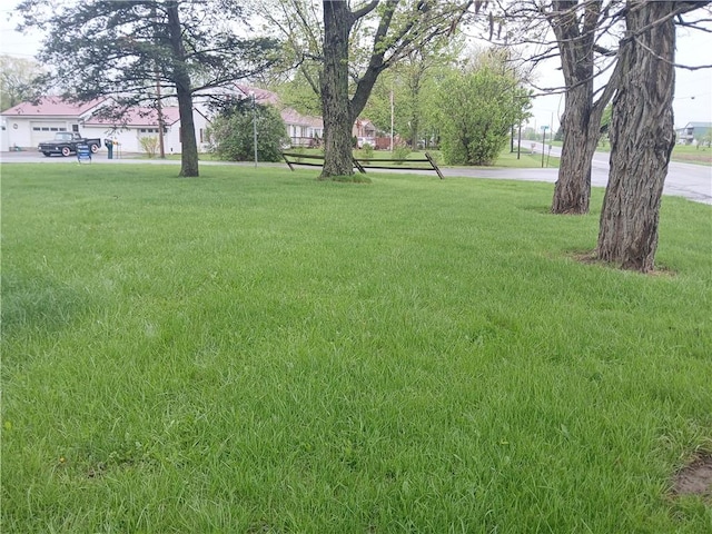 5321 Rt-96, Varick, NY 14521 - photo 13