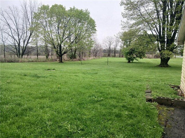 5321 Rt-96, Varick, NY 14521 - photo 14