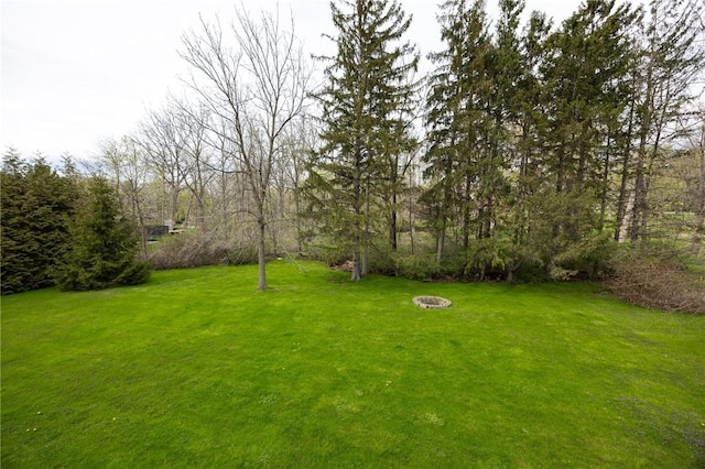 view of yard with a fire pit