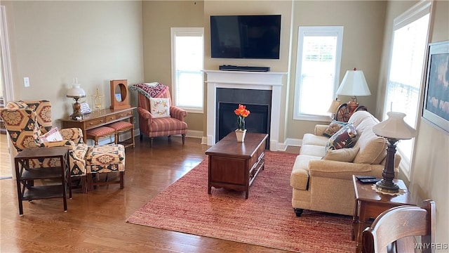 living room with baseboards, wood finished floors, and a fireplace