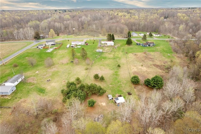87 Kings Rd, Volney, NY 13069 - bird's eye view with a rural view and a view of trees