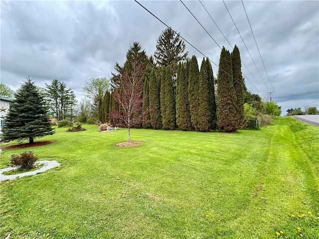 397 Jerrysmith Rd, Lansing, NY 14850 - view of yard