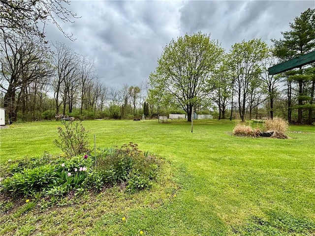 397 Jerrysmith Rd, Lansing, NY 14850 - view of yard