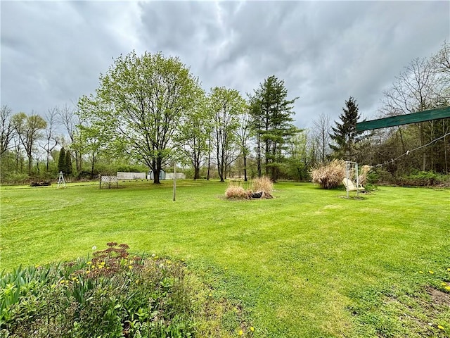 397 Jerrysmith Rd, Lansing, NY 14850 - view of yard