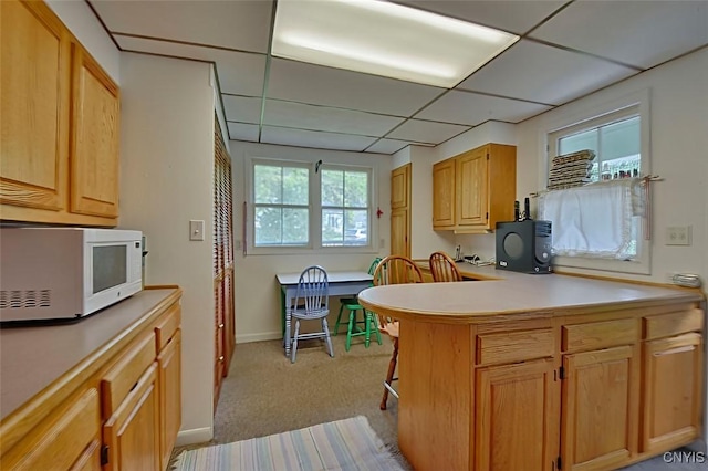 18 Crossmon St, Alexandria, NY 13607 - kitchen featuring a peninsula, a paneled ceiling, white microwave, light colored carpet, and light countertops