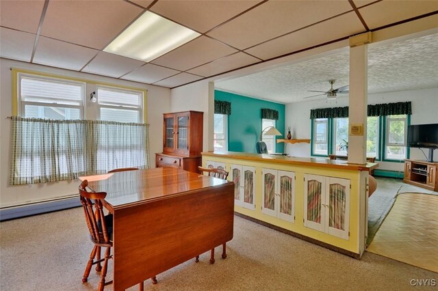 18 Crossmon St, Alexandria, NY 13607 - dining room featuring light colored carpet and ceiling fan