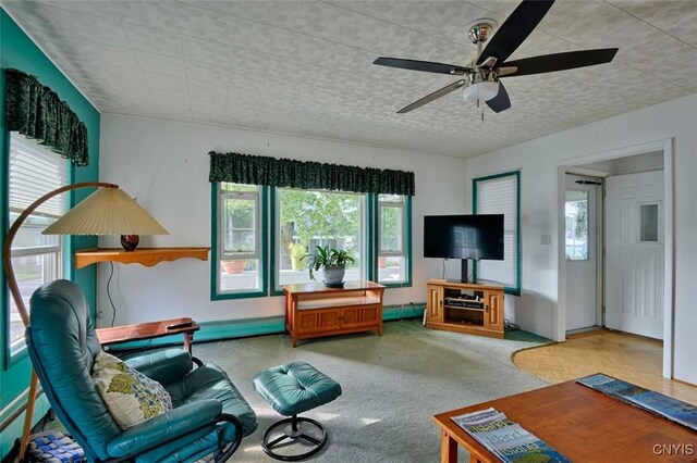 18 Crossmon St, Alexandria, NY 13607 - living area with carpet flooring and a ceiling fan