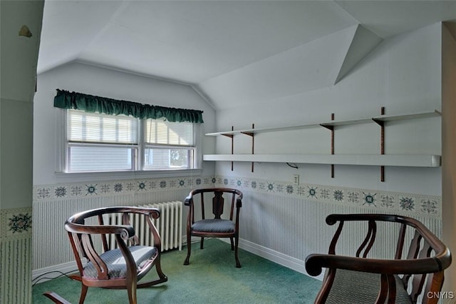 18 Crossmon St, Alexandria, NY 13607 - living area with carpet flooring, a wainscoted wall, vaulted ceiling, and wallpapered walls