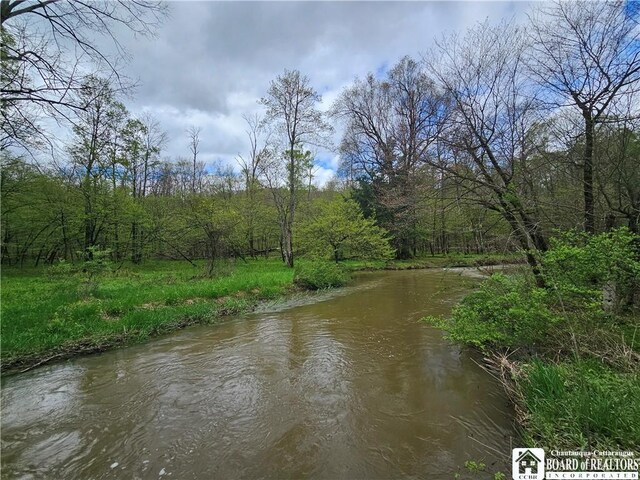 1581 Chipmonk Rd, Carrollton, NY 14706 - photo 7