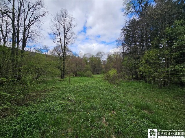 1581 Chipmonk Rd, Carrollton, NY 14706 - photo 8