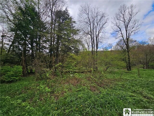 1581 Chipmonk Rd, Carrollton, NY 14706 - photo 9