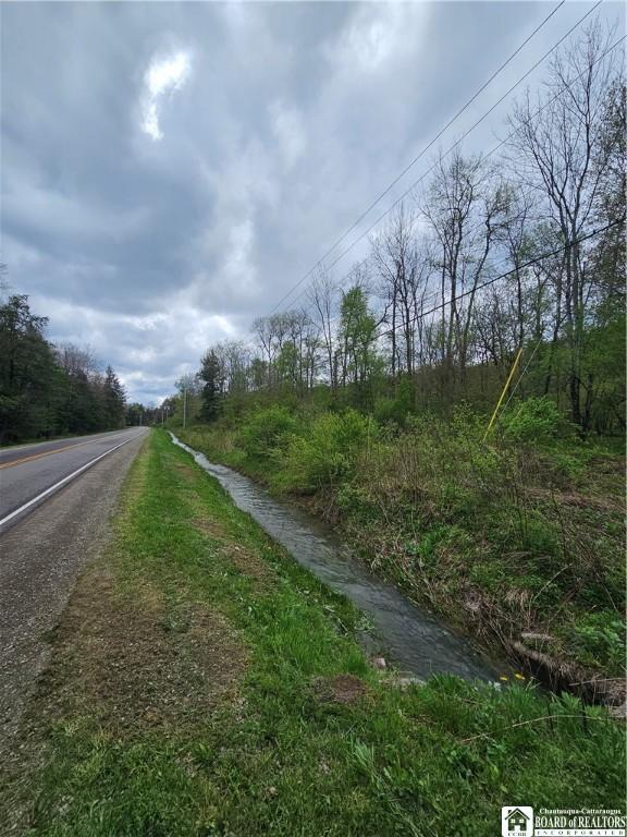1581 Chipmonk Rd, Carrollton, NY 14706 - photo 10