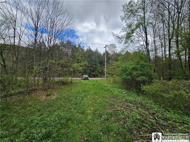 1581 Chipmonk Rd, Carrollton, NY 14706 - photo 12