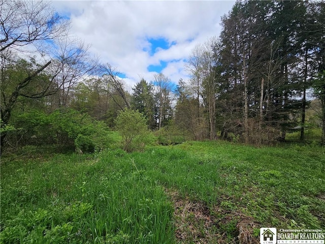 1581 Chipmonk Rd, Carrollton, NY 14706 - photo 14