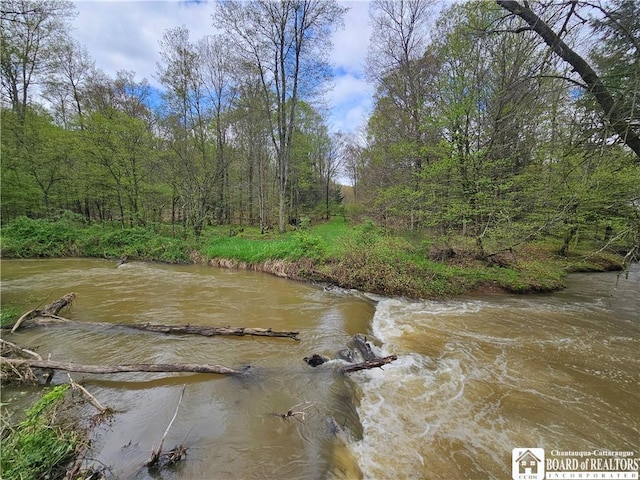 1581 Chipmonk Rd, Carrollton, NY 14706 - photo 15