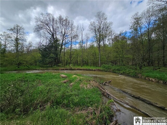 1581 Chipmonk Rd, Carrollton, NY 14706 - photo 16