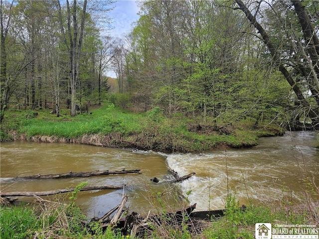 1581 Chipmonk Rd, Carrollton, NY 14706 - photo 17