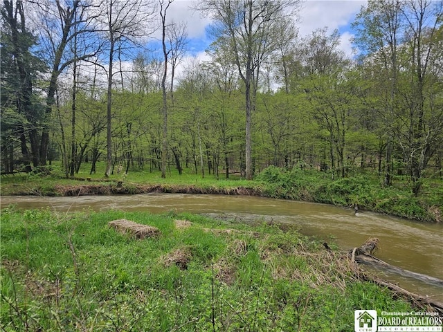 1581 Chipmonk Rd, Carrollton, NY 14706 - photo 18
