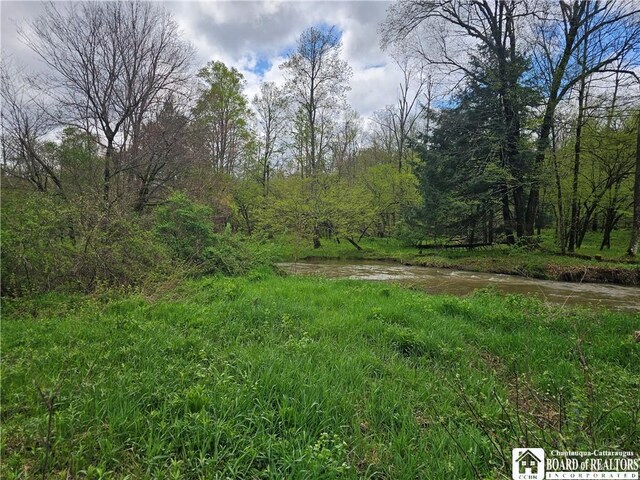 1581 Chipmonk Rd, Carrollton, NY 14706 - photo 19