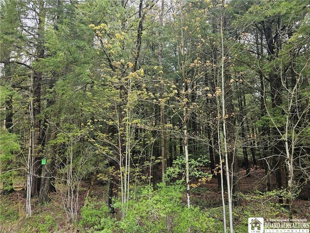1581 Chipmonk Rd, Carrollton, NY 14706 - photo 22