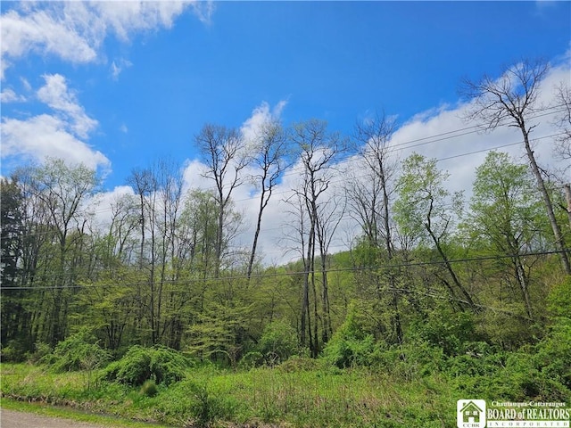 1581 Chipmonk Rd, Carrollton, NY 14706 - photo 23