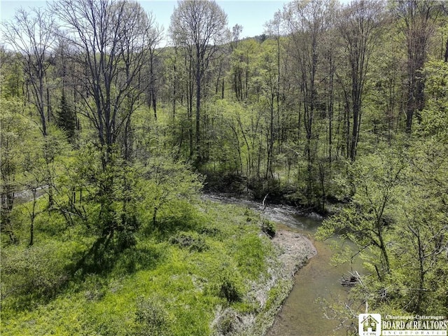 1581 Chipmonk Rd, Carrollton, NY 14706 - photo 1