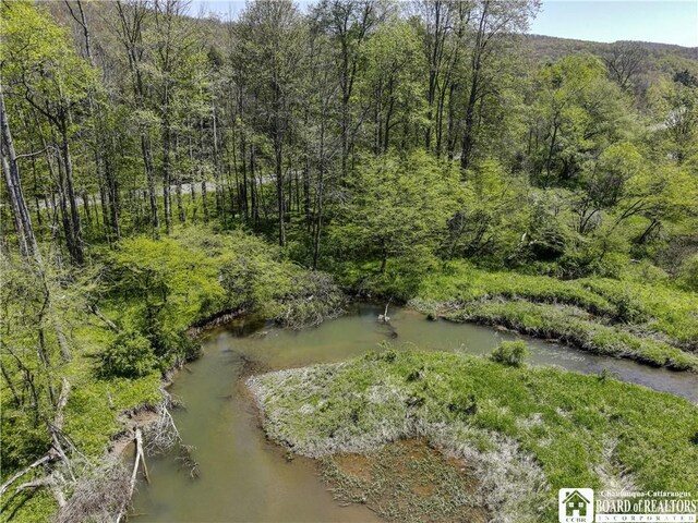 1581 Chipmonk Rd, Carrollton, NY 14706 - photo 6