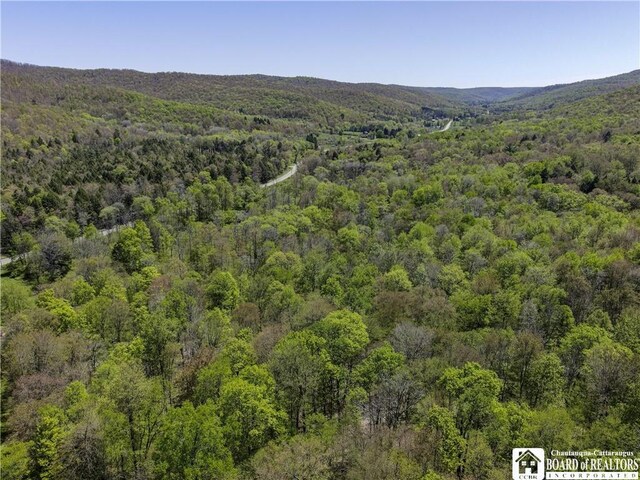 1581 Chipmonk Rd, Carrollton, NY 14706 - photo 5