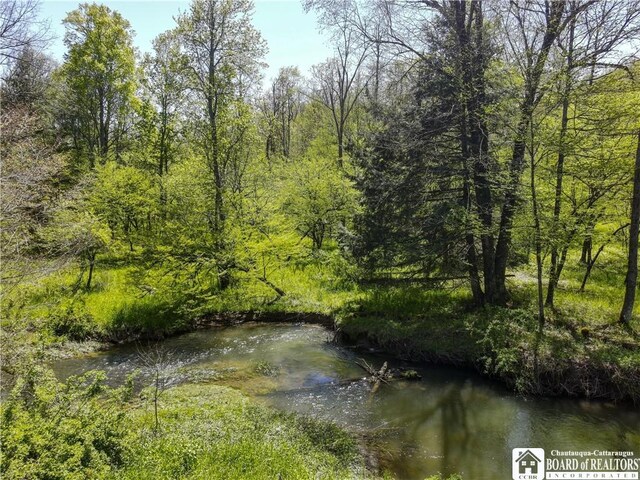 1581 Chipmonk Rd, Carrollton, NY 14706 - photo 25