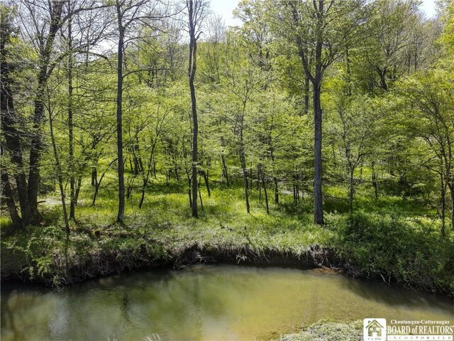 1581 Chipmonk Rd, Carrollton, NY 14706 - photo 26