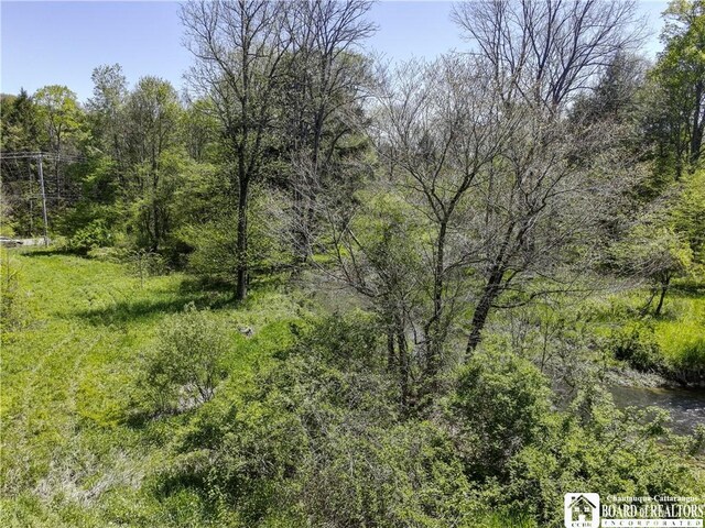 1581 Chipmonk Rd, Carrollton, NY 14706 - photo 27