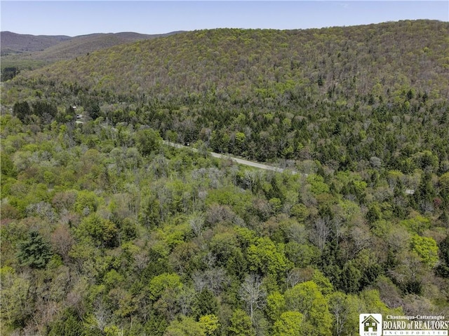 1581 Chipmonk Rd, Carrollton, NY 14706 - photo 2