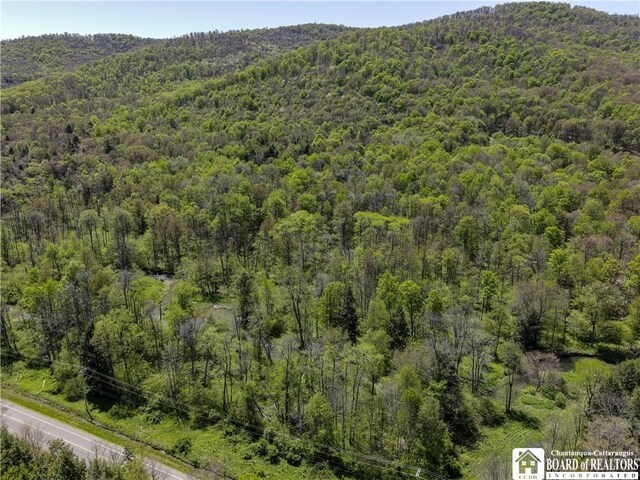 1581 Chipmonk Rd, Carrollton, NY 14706 - photo 4