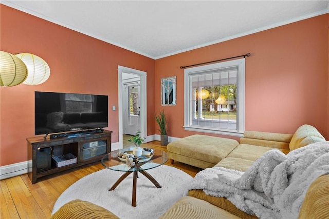 living area featuring ornamental molding, baseboards, and wood-type flooring