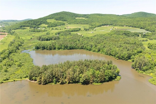125 Mayhem Pond Dr, Gilboa, NY 12167