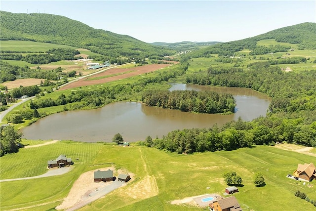 125 Mayhem Pond Dr, Gilboa, NY 12167