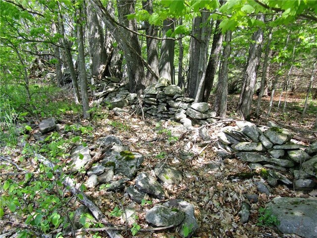 125 Mayhem Pond Dr, Gilboa, NY 12167