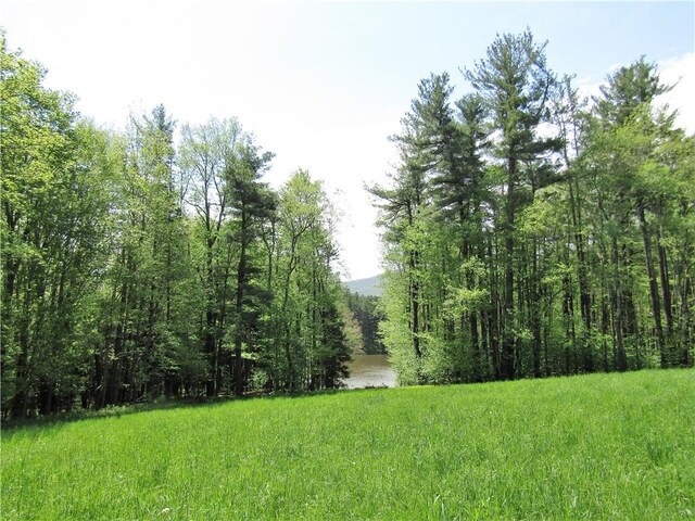 125 Mayhem Pond Dr, Gilboa, NY 12167