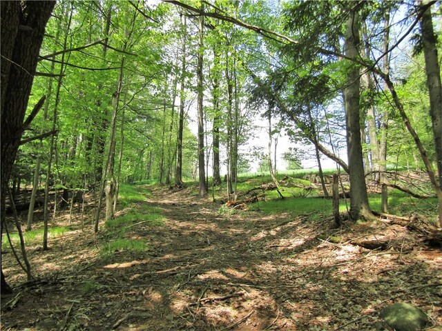 125 Mayhem Pond Dr, Gilboa, NY 12167