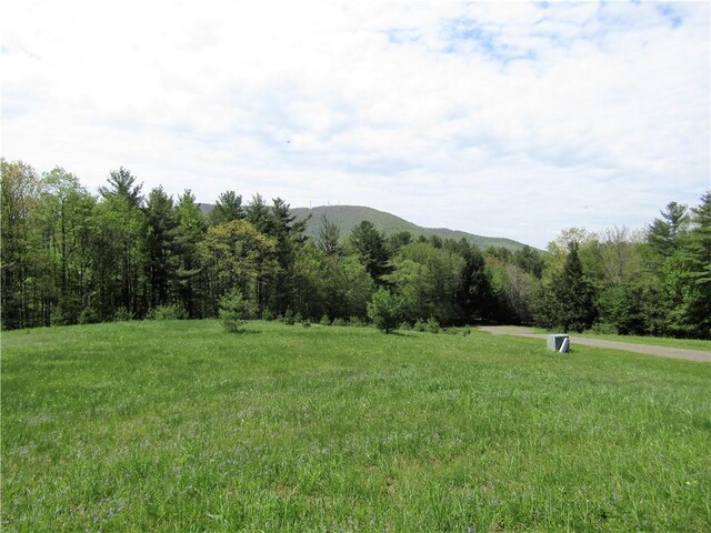125 Mayhem Pond Dr, Gilboa, NY 12167