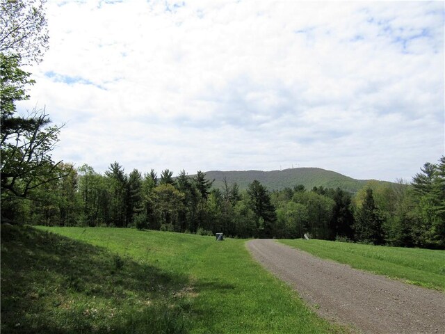125 Mayhem Pond Dr, Gilboa, NY 12167