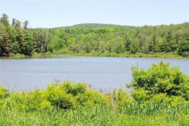 125 Mayhem Pond Dr, Gilboa, NY 12167