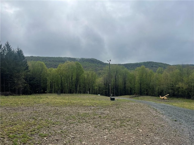 100 Buchanan Rd, Sanford, NY 13865