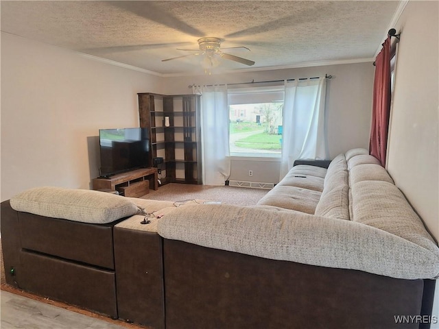 49 Grove St, Warsaw, NY 14569 - living room with crown molding, a textured ceiling, ceiling fan, and visible vents