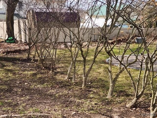 106 Saxton St, Lockport City, NY 14094 - view of nature