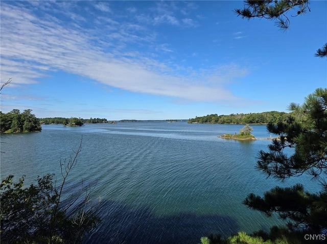 2 Mink, Hammond, NY 13646 - photo 5