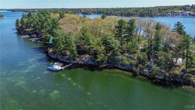 2 Mink, Hammond, NY 13646 - photo 19